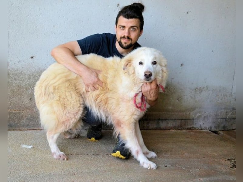 Olivielle- Junge Dame im Bärenmantel