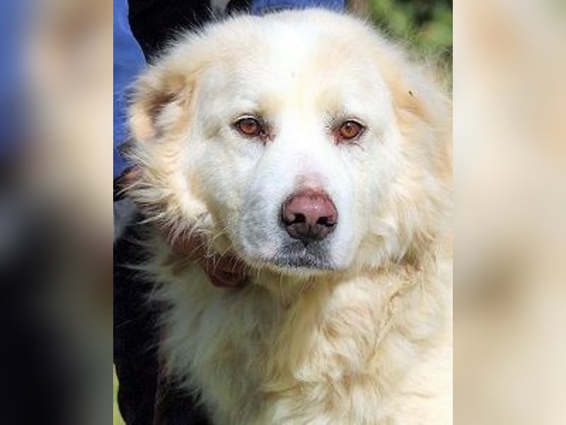 Eluard - Hoffnung auf echte Freundschaft!