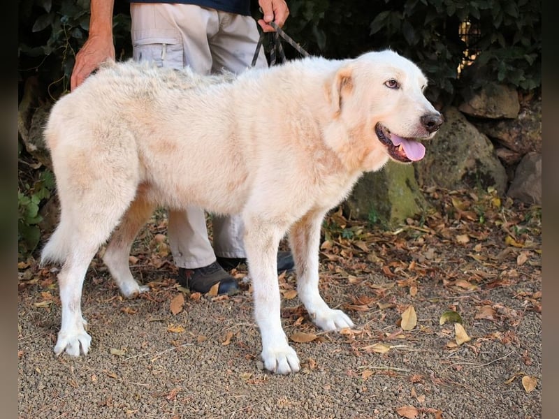 Makeen - es ist die Ohnmacht.....