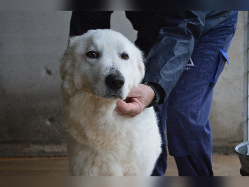 Rosvielle - Auf einer Skala von 1 bis 10....