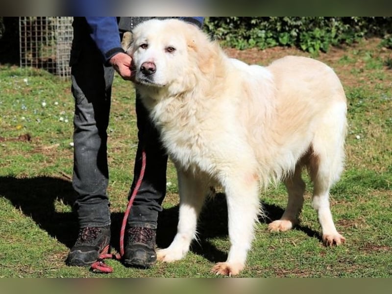 Eluard - Hoffnung auf echte Freundschaft!