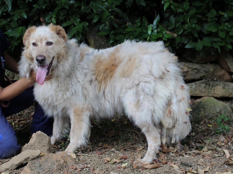 Paolo - Oh, huch, wow!!!