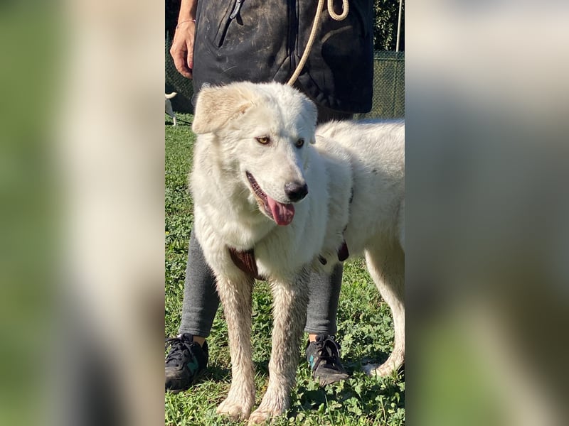 Mona - eine weiße Herzensbrecherin und ihre drei Schwestern