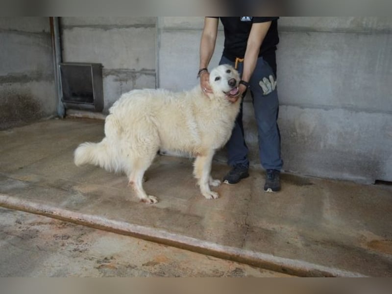 Quebry - Es ist, was es ist...