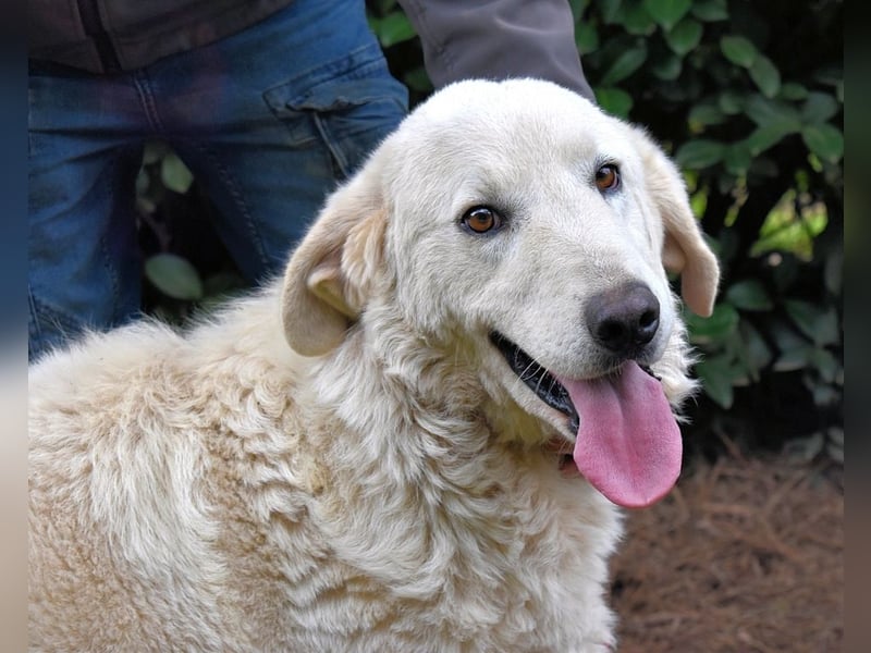 Dayton - niemals ist eine schrecklich lange Zeit