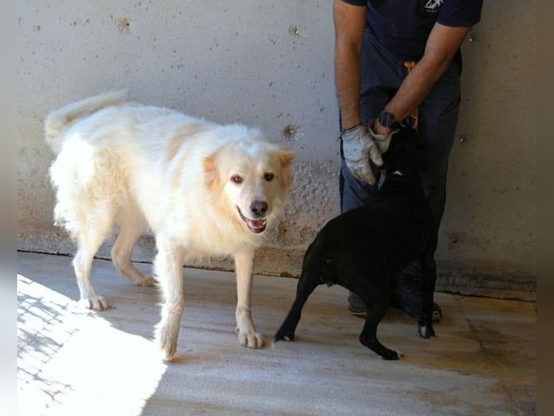 Skilah - Wenn Niemand zu Jemand wird