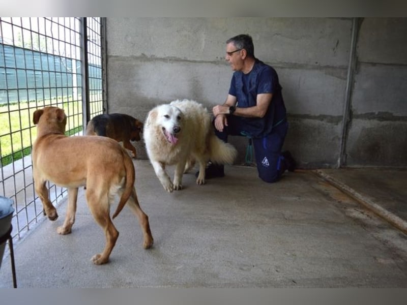 Quebry - Es ist, was es ist...