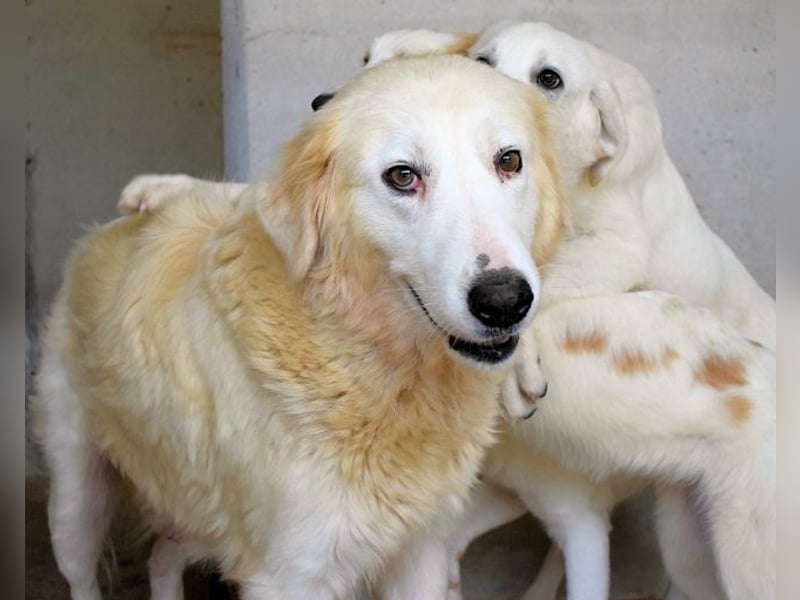 Benilda - Familiemutter in Not