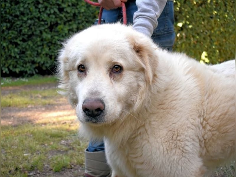 Quilmar - Was werden sie erzählen?