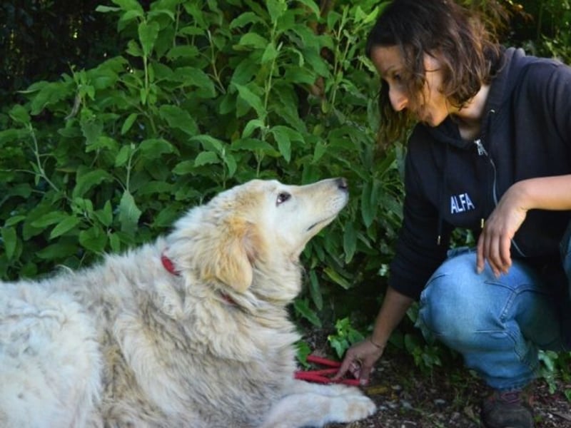 Filomela - Vom Sorgenkind zum Sonnenschein