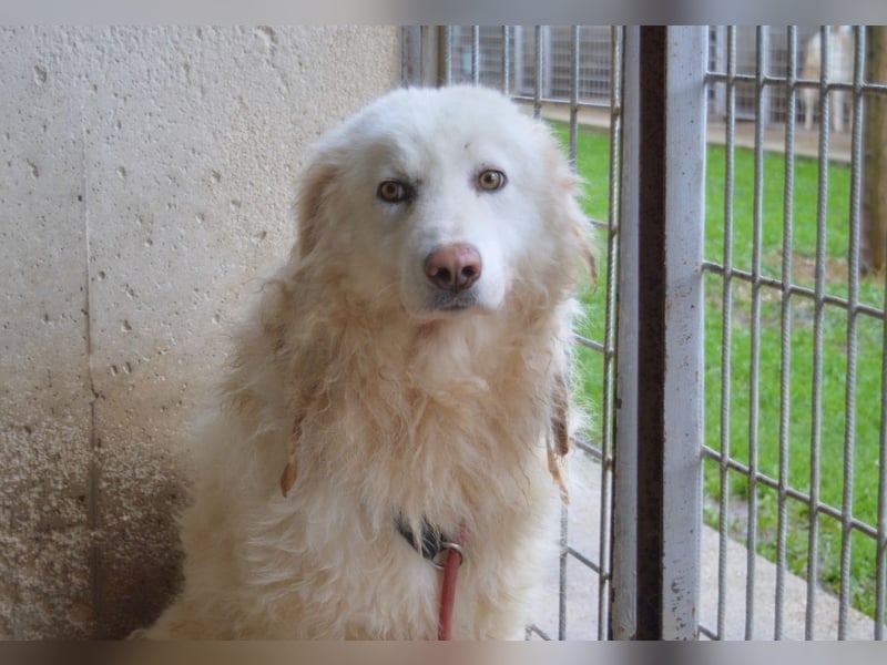 Fredrik - Was nach der Trennung kommt