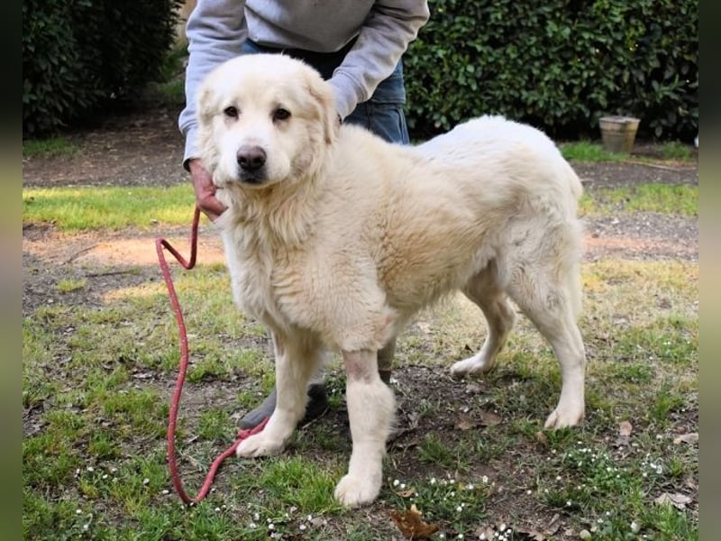 Quilmar - Was werden sie erzählen?