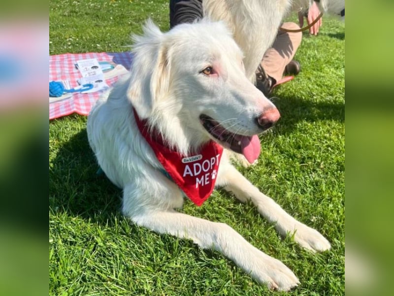 Stardust - Von der Erde zum Mond und zurück....
