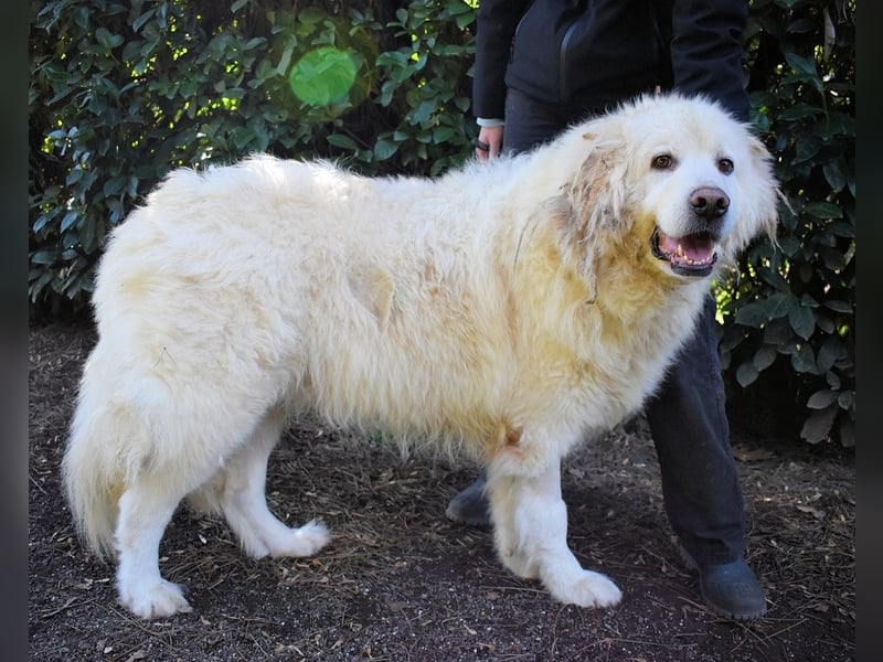 Balvin - Andere schauen bis zum Horizont