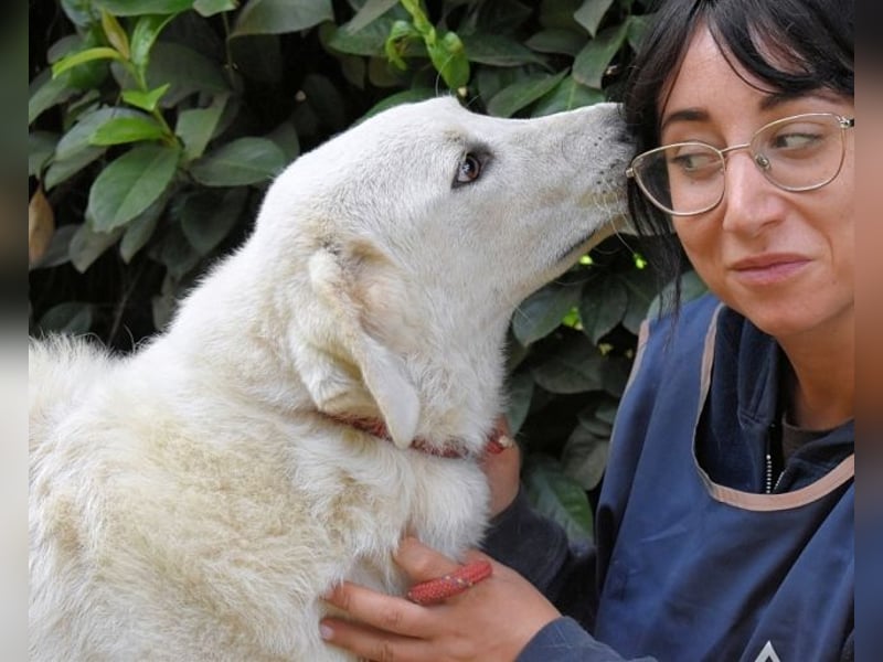 Damarius - niemals ist eine schrecklich lange Zeit