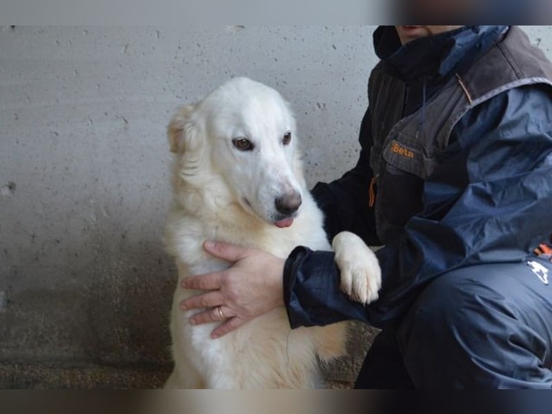 Meriwa - Doch nur wieder ein Kurzbesuch.....