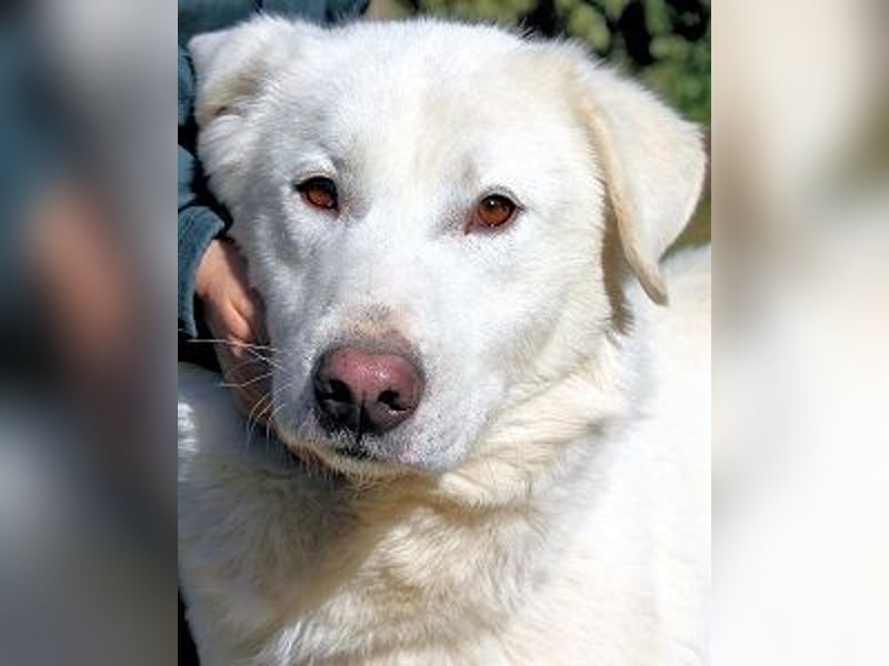 Sallustio - Der Sinn des Lebens