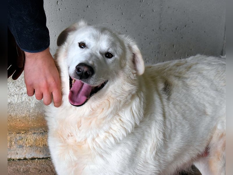 Sallustio - Der Sinn des Lebens