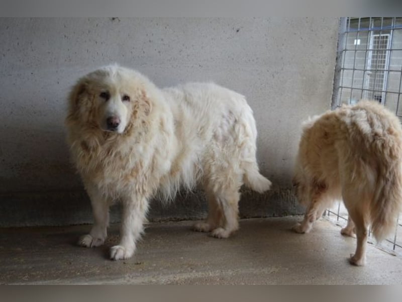 Atheron - Das Ehemaligentreffen