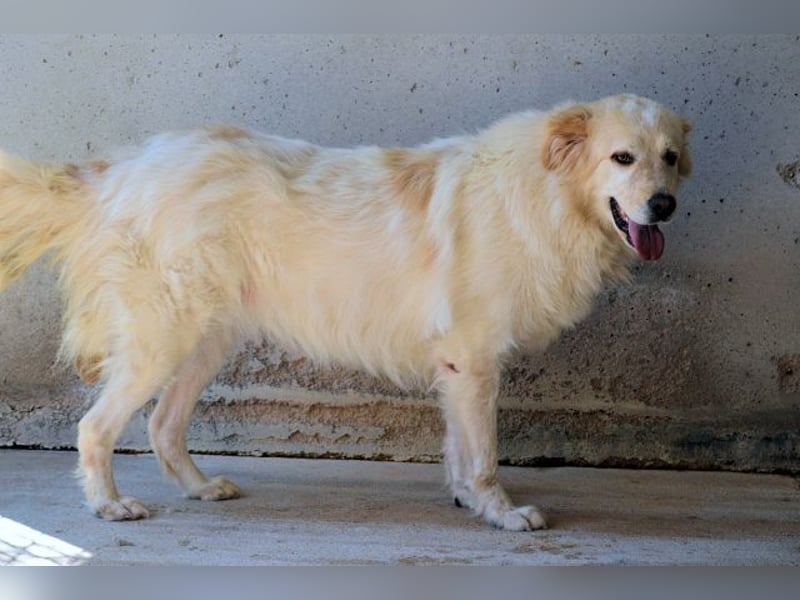 Skilah - Wenn Niemand zu Jemand wird