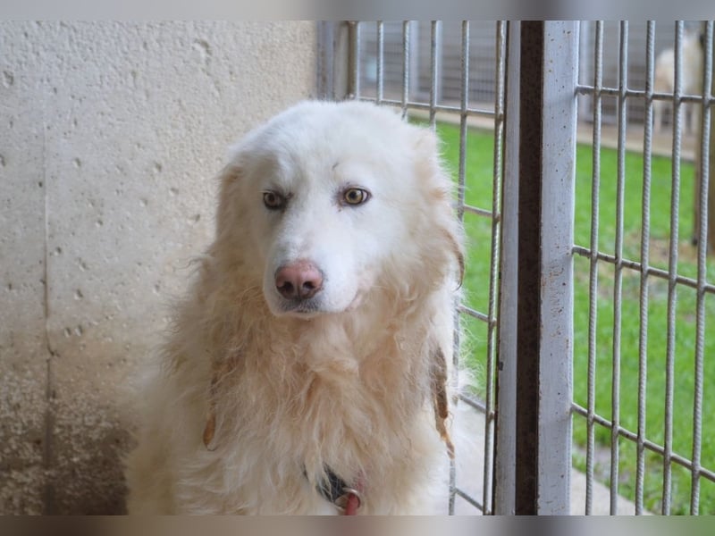 Fredrik - Was nach der Trennung kommt