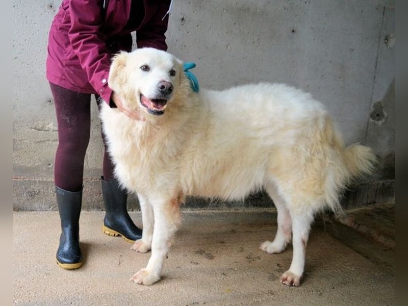 Albertone - Alles, alles Gute!!!