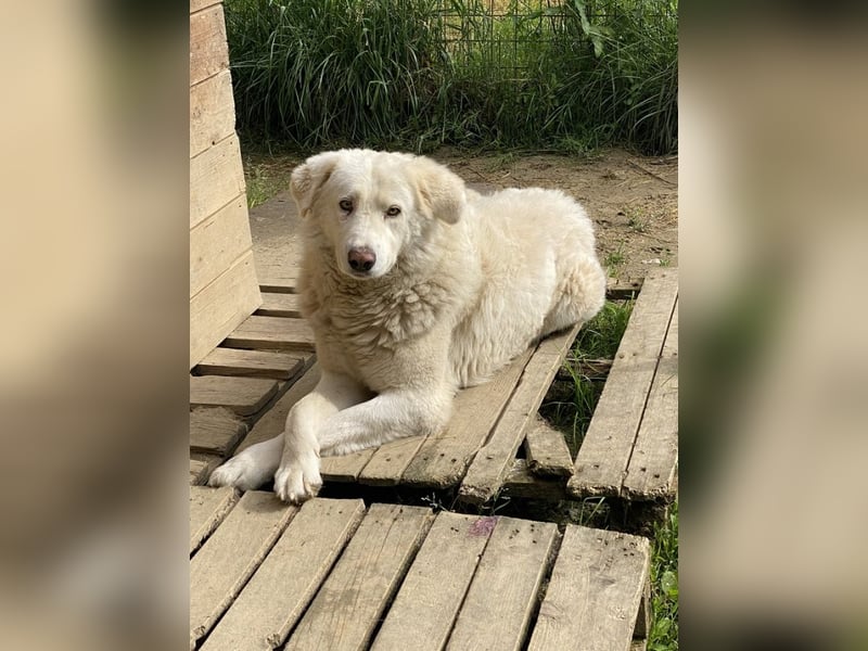 Sindbad - Zwischen Vorsicht und Vertrauen