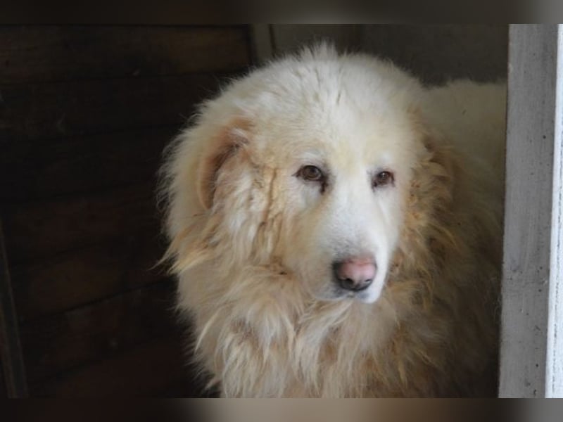 Atheron - Das Ehemaligentreffen