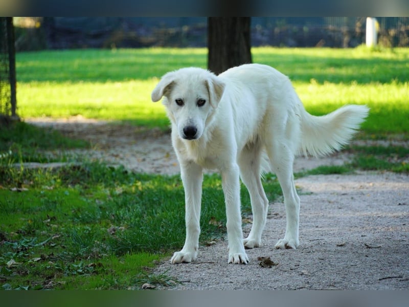 Madea - in ihrer ganzen Schönheit