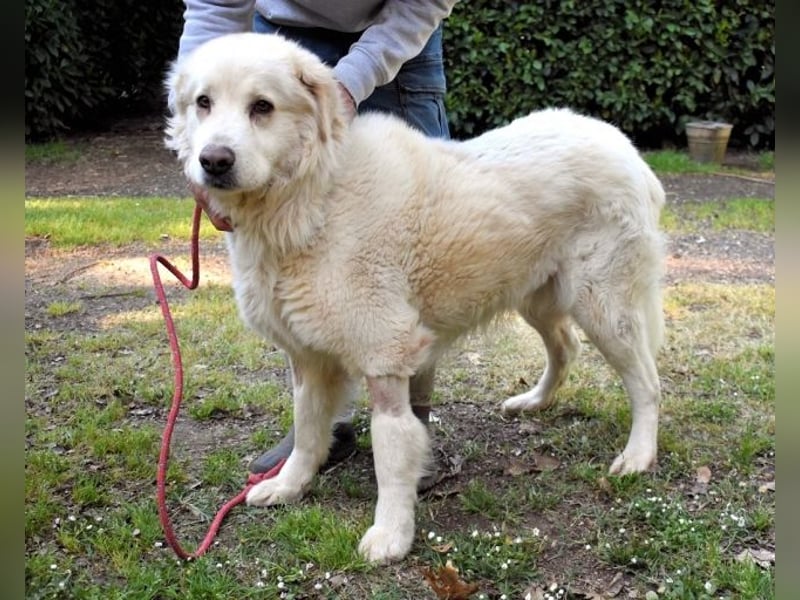 Quilmar - Was werden sie erzählen?