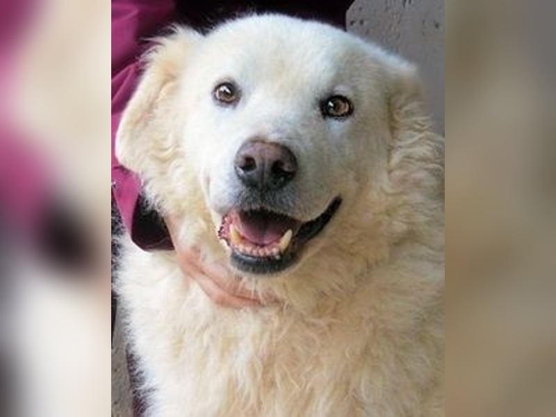 Albertone - Alles, alles Gute!!!