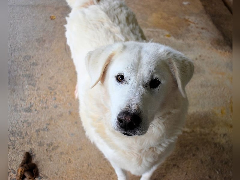 Sallustio - Der Sinn des Lebens