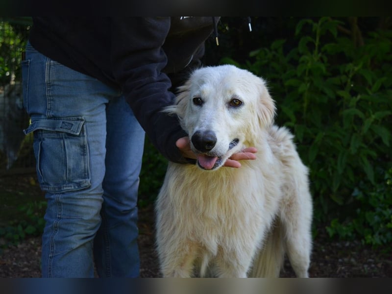 Isana - Wo ist mein neues Leben?