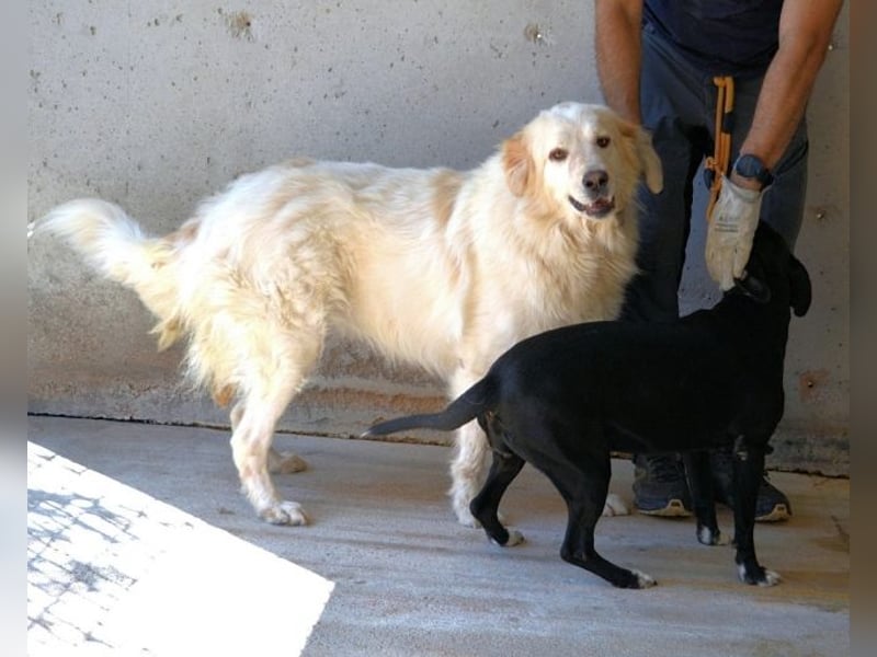 Skilah - Wenn Niemand zu Jemand wird