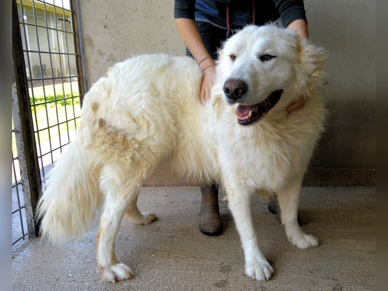 Leverett - Ich sehe was, was du (noch) nicht siehst!