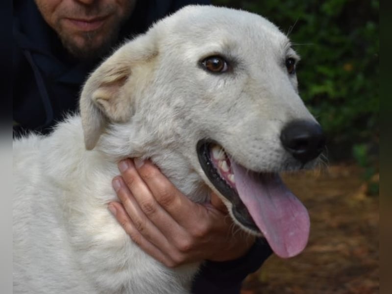 Damarius - niemals ist eine schrecklich lange Zeit