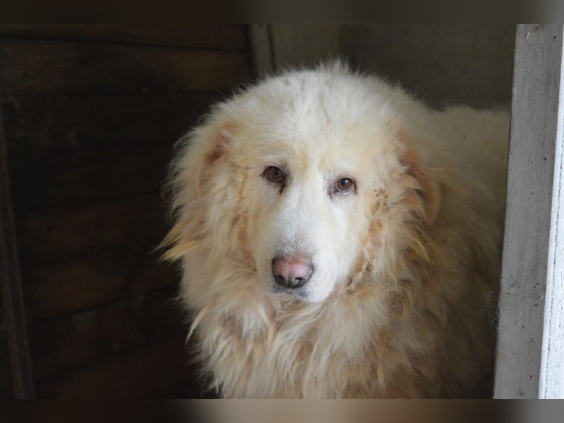 Atheron - Das Ehemaligentreffen