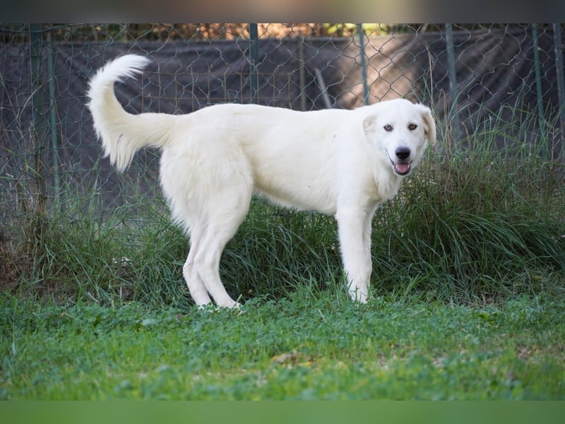 Madea - in ihrer ganzen Schönheit