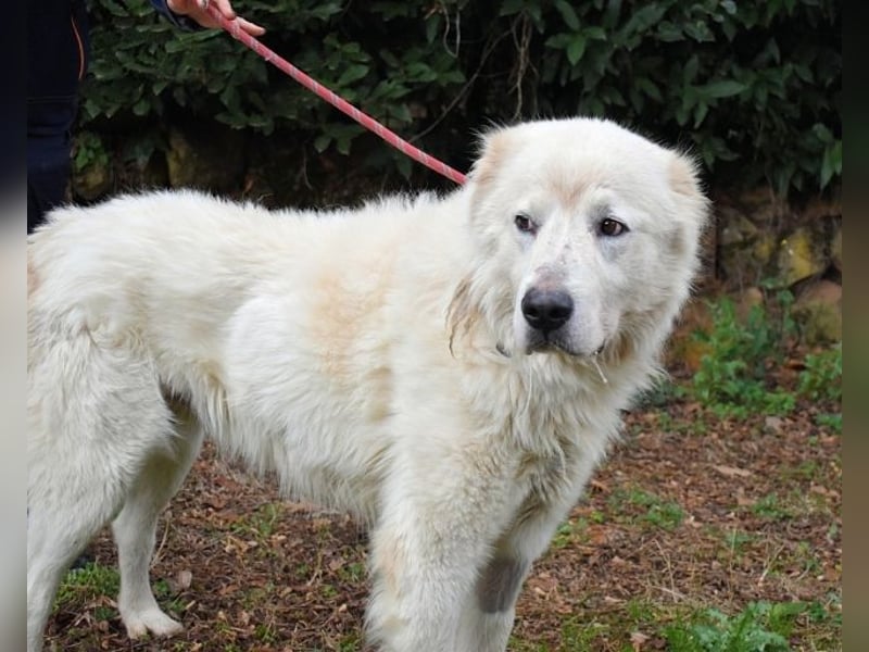 Apolonio - möchte für seine Menschen ein Fels in der Brandung sein