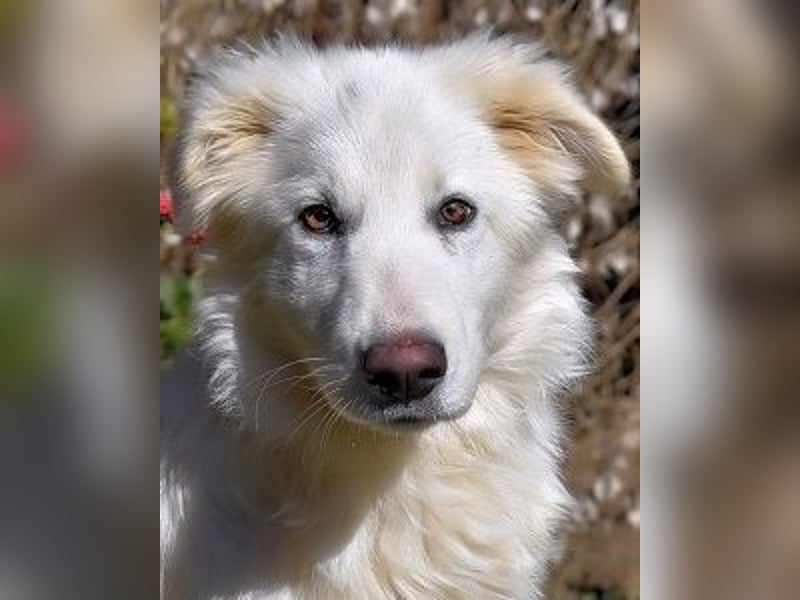 Heathon - sucht die Liebe seines Lebens