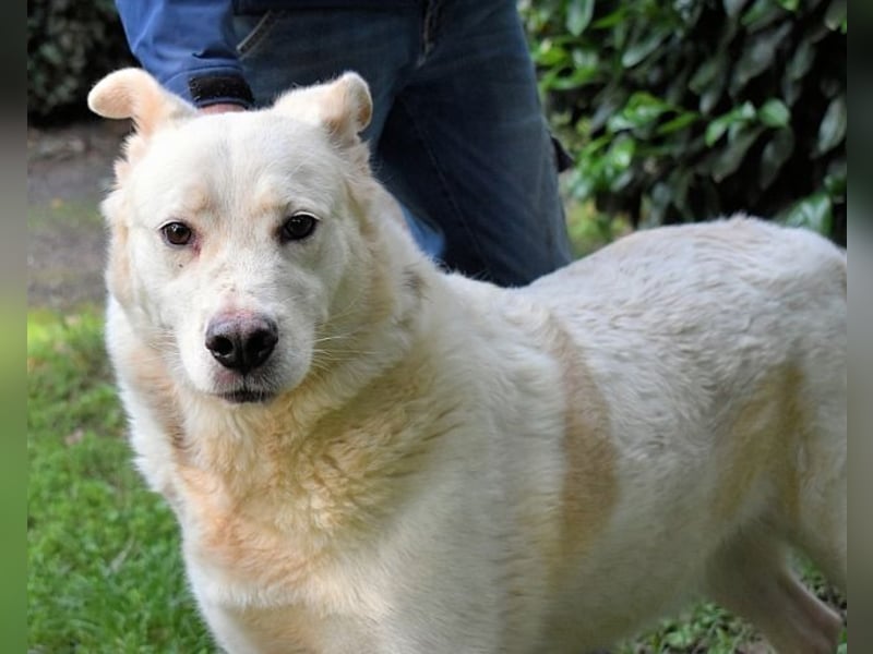 Zipper - Ein vergeudetes Leben