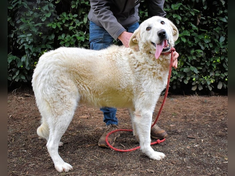 Dayton - niemals ist eine schrecklich lange Zeit