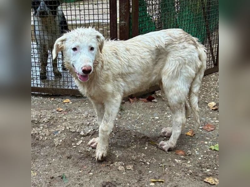 Stardust - Von der Erde zum Mond und zurück....
