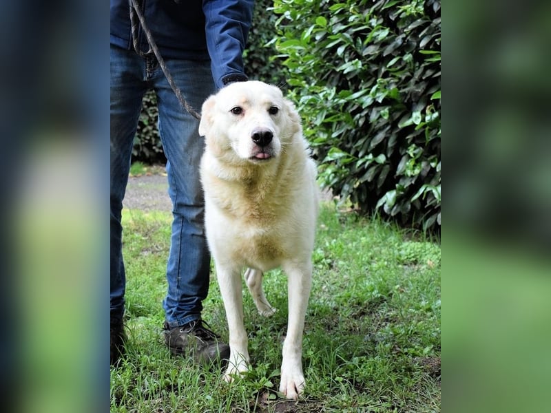 Zipper - Ein vergeudetes Leben