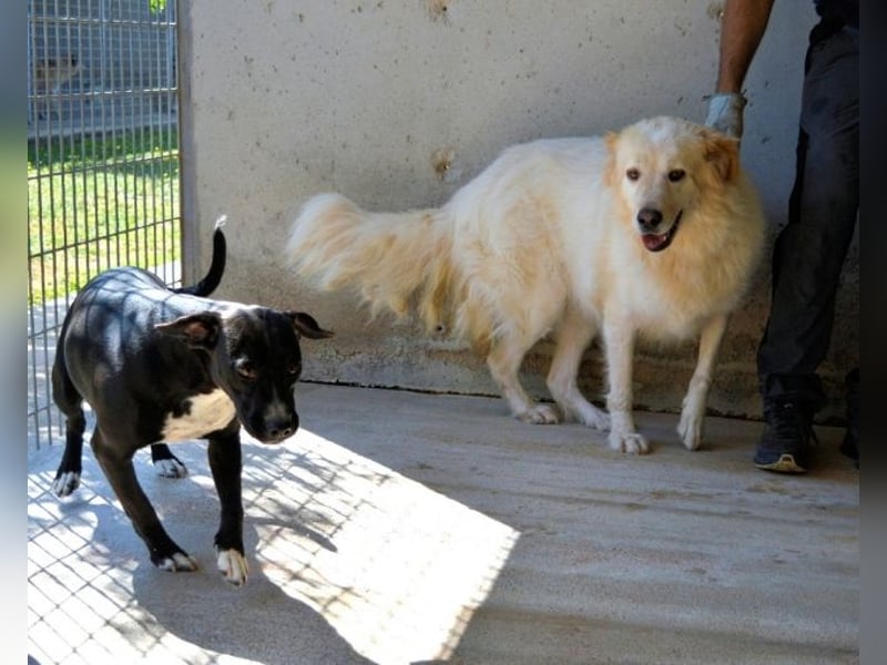 Skilah - Wenn Niemand zu Jemand wird