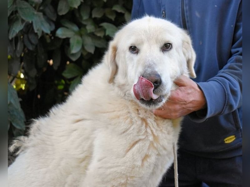 Makeen - es ist die Ohnmacht.....