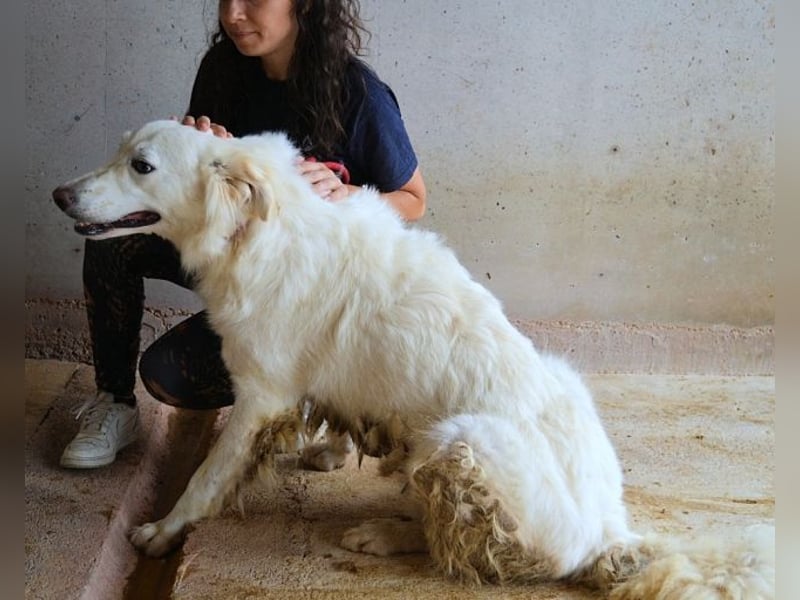 Hadrianus - weiß, es wird einmal ein Wunder gescheh'n