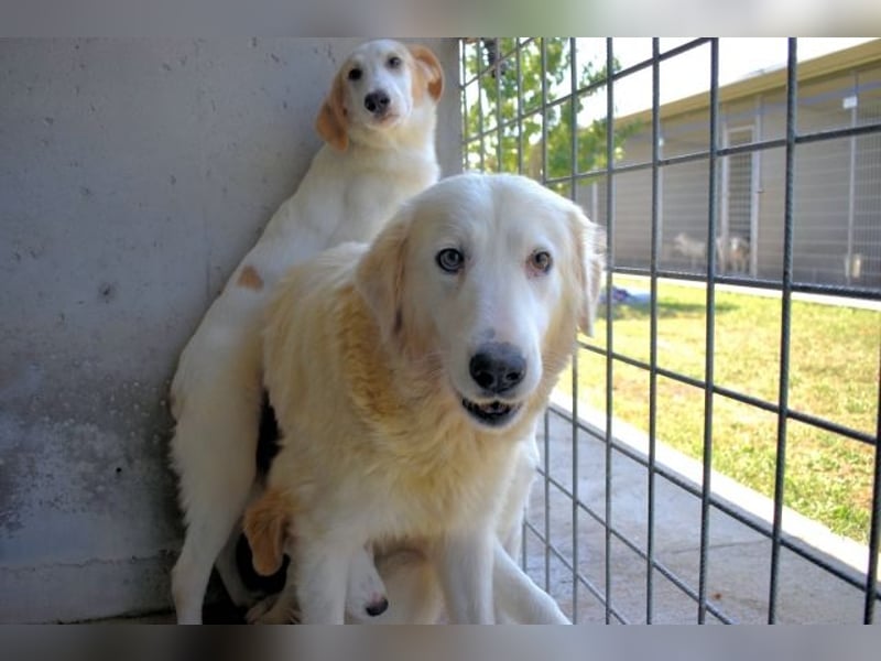 Benilda - Familienmutter in Not