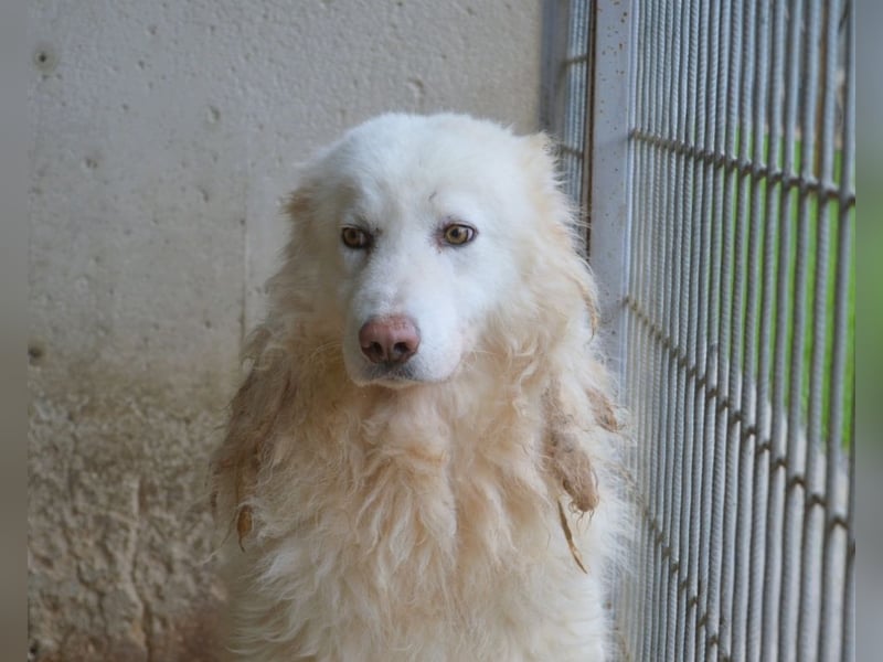 Fredrik - Was nach der Trennung kommt