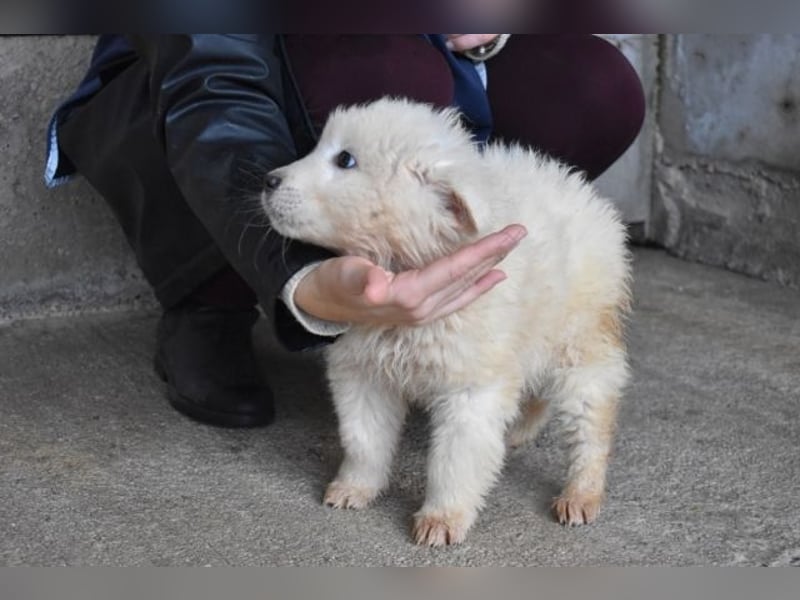 Clyro - Weiß jemand, was aufpassen eigentlich heißt ?
